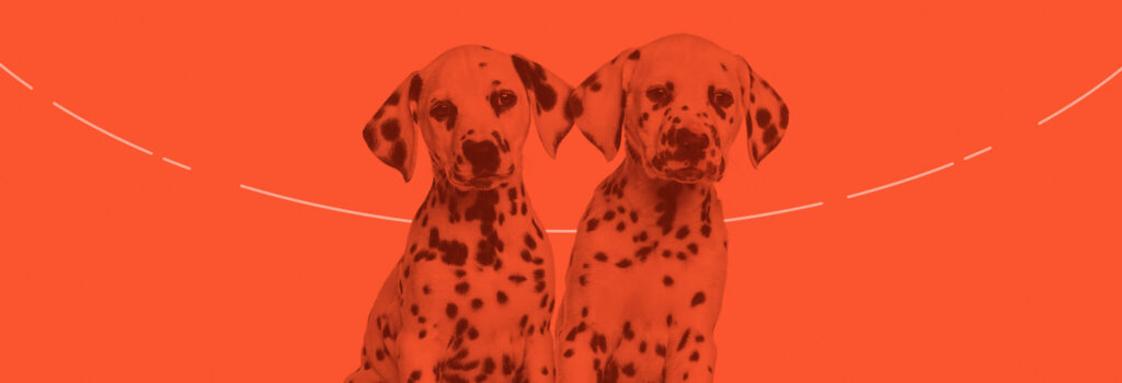 dogs testes a/b