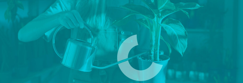Lead nurturing: o que é e como iniciar essa estratégia