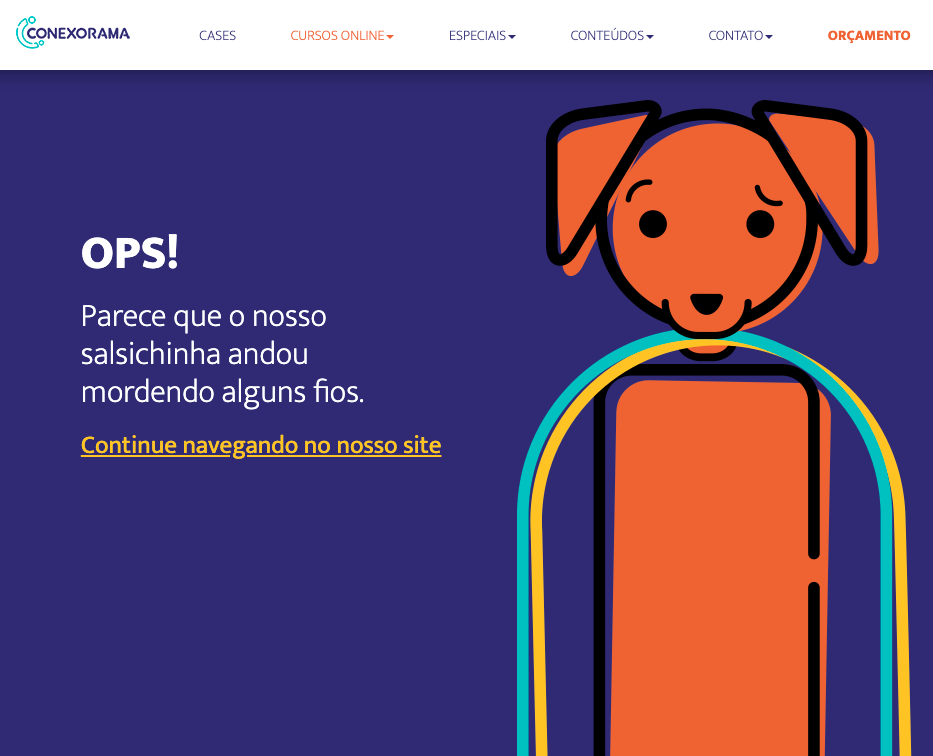Print da página de erro personalizada da Conexorama