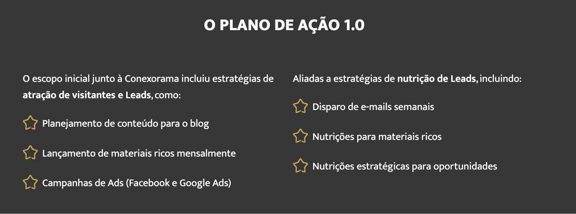 Captura de tela plano de ação como fazer um case de sucesso