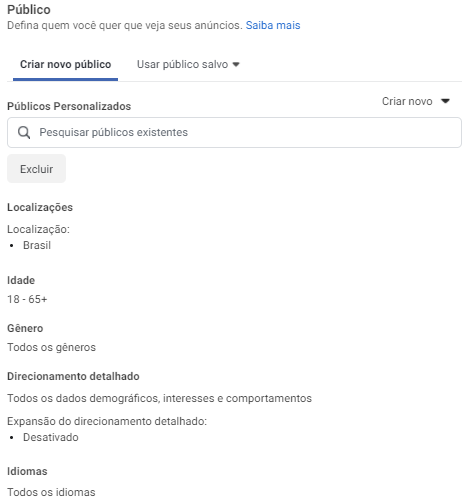 Print mostra a sessão onde você deverá configurar o público da campanha