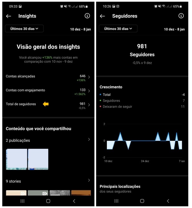 captura de tela do instagram mostrando gráficos de número de seguidores